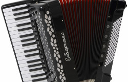 Zajęcia nauki gry na instrumentach ( akordeon, keyboard )