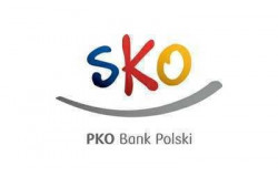 "Test wiedzy SKO"