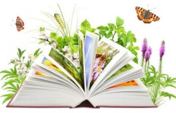 Biblioteka szkolna zaprasza !